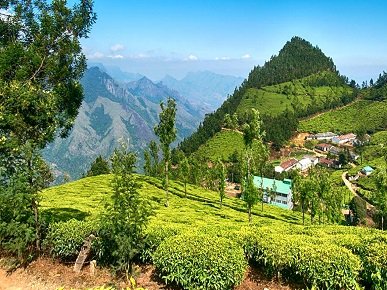 Exotic Manali Dharamshala with Amritsar